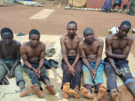 Troops of Operation Safe Haven Apprehended Criminal Suspects, Neutralize Bandits, recover Arms, Ammunitions