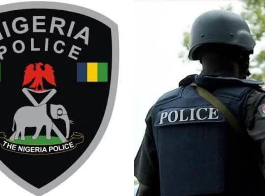 Plateau: Police Arrest Eight Suspects in Connection With Mangu Attacks