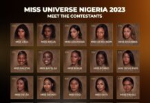 Miss Universe Nigeria 2023 Meet the Contestants