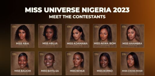 Miss Universe Nigeria 2023 Meet the Contestants