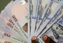 Naira Recovers Drastically, Gaining 7.2% Against Dollar