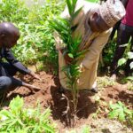 Group Plants 1,400 Trees To Tackle Climate Change In Plateau Communities