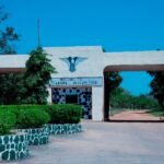 Jos Wildlife Park Authorized Tree Falling: Protecting Our Environmental Heritage