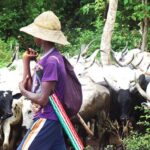 Fulani clan urges relatives of herdsman killed in Plateau to “forgive”