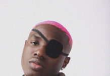 DOWNLOAD: Ruger – ‘RU The World’ Full Album