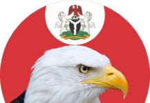 EFCC Intercepts 21 Food-Loaded Trucks Heading To Chad, Cameroon, Others