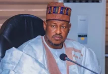 Katsina governor orders audit of LG workers