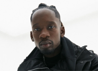DOWNLOAD: Mr Eazi – ‘Evil Genius’ Full Album
