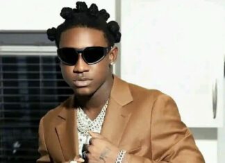 DOWNLOAD: Shallipopi – ‘Presido La Pluto’ Full Album