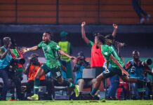 AFCON 2023: MOST Talking Points As Nigeria Defeats Cameroon