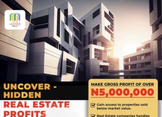 Leverage Distress Property Sales For Gross Profit of Over N5,000,000 as Monez Real Estate Company Uncover Hidden Profits | Don’t Miss Out