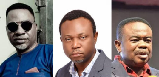 ”Audit COSON” VS. “Stop Efe Omorogbe”: Tragedy Of The Nigerian Way – Sunny Neji OP-ED
