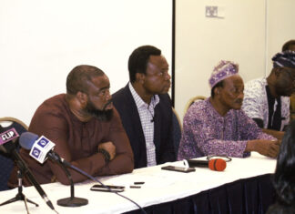 Okoroji Remains Sacked As COSON Chairman