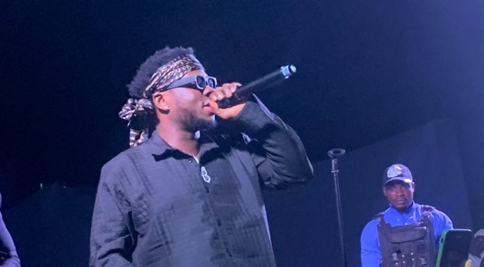 Photos: Promphizy’s Loyal 2D Street Concert Was Lit, Mammoth Crowd Got Thrilled