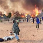 Plateau Herders Frown Over Killing Of Members, Loss Of N169 Million Worth Of Cattle To Rustlers