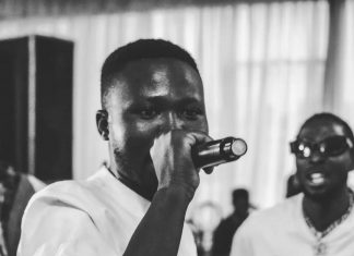 FREEZLINKS Rolls Out New Hit “DOINGS,” Solidifying His Reign in the Nigerian Music Scene