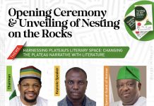 Harnessing Plateau’s Literary Space: Changing the Plateau Narrative with Literature