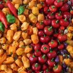 Pepper Prices Skyrocket In Plateau Amidst Insecurity, Climate Challenges