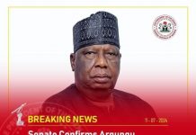 Senate Confirms Hashimu Argungu As PSC Chairman