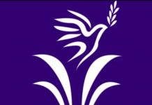 Living Streams of Hope Calls for Urgent Relief Efforts After Maiduguri Flood