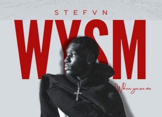 STEFVN Drops Catchy New Single “WYSM (When You See Me)” – A Fresh Take on Afrobeats