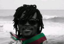 Radical Artical Rolls Out Long-Awaited Album ‘Davou’