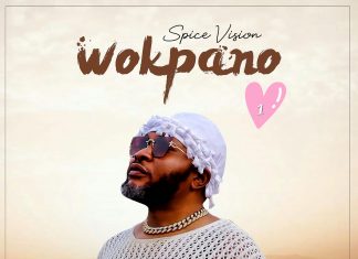 Spice Vision – Wokpano