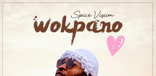 Spice Vision – Wokpano