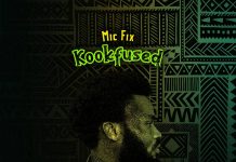 Introducing Kookfused: The Sonic Revolution