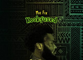 Introducing Kookfused: The Sonic Revolution