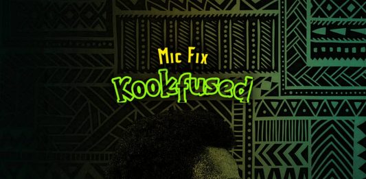 Introducing Kookfused: The Sonic Revolution