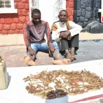 OPSH Troops Dismantle Kidnap Gang, Arrest Notorious Kingpin in Plateau