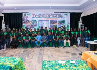 PSIRS Aims to Surpass Revenue Goals with New Strategies for 2025