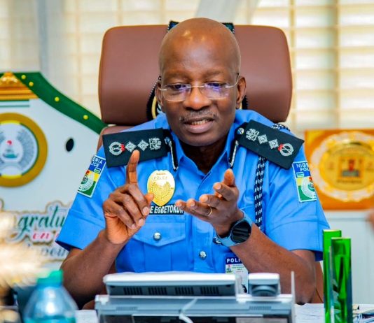 Plateau Killings: IGP Vows Justice as Two Top Suspects Arrested