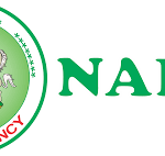 NAPEP 2025 Recruitment: How to Apply and Requirements
