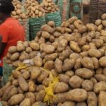 Bokkos Emerges as Plateau’s Potatoes Hub Amidst Record-Breaking Harvest