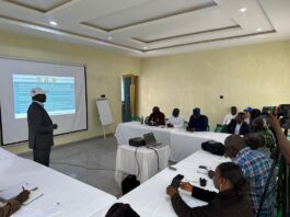 Plateau State Records Significant Drop in Malaria Cases as SMC Programme Hits Over One Million Children