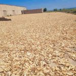 BARC Farms Project Produces Impressive Harvest Under Governor Mutfwang’s Youth Empowerment Scheme