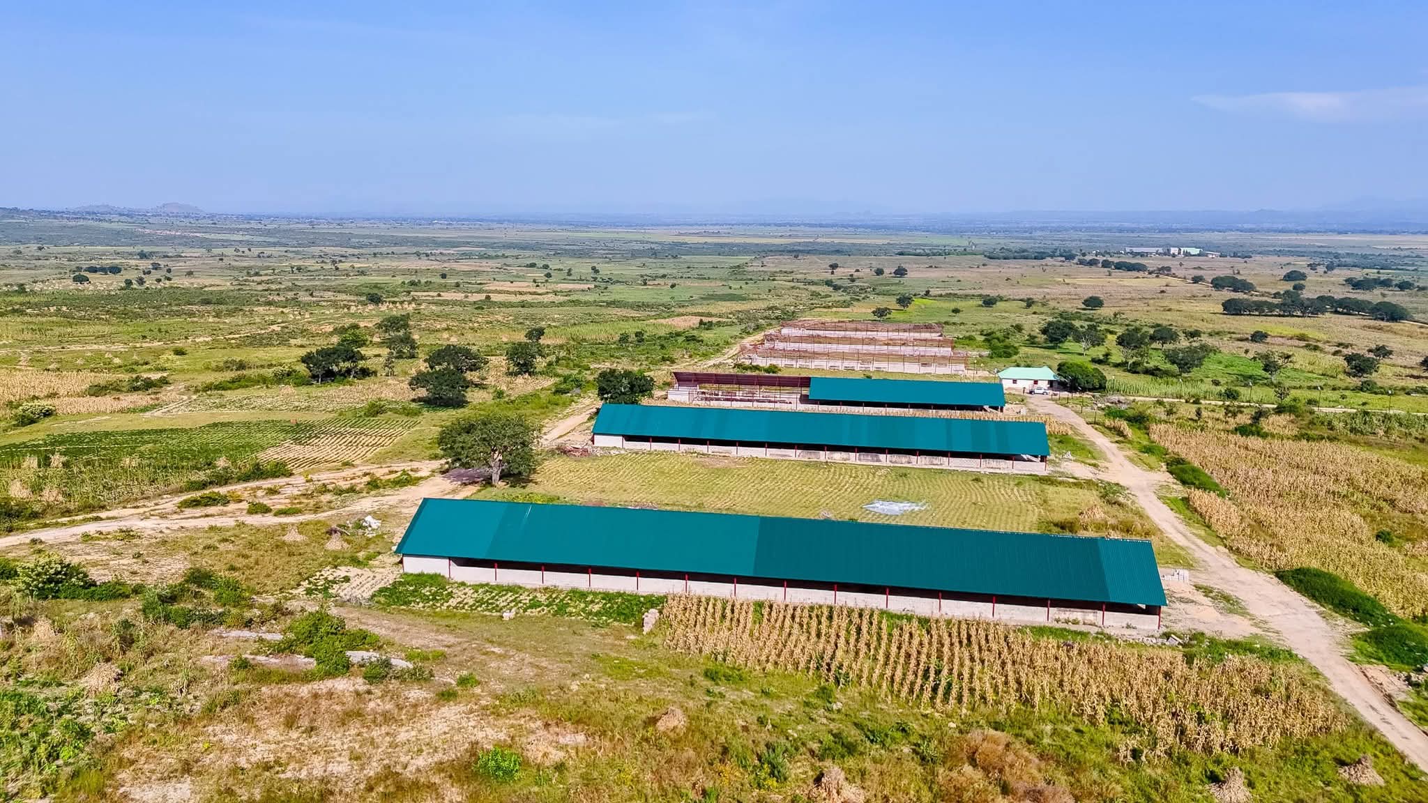 FB_IMG_1761632524410