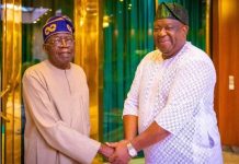 Tinubu Selects Gov. Mutfwang of Plateau Among Delegates for High-Level G20 Summit