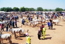 Zamko Market Set for Transformation as Chairman Tyem Commissions Solar-Powered Borehole, Perimeter Fencing, and Market Facilities