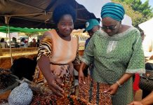 Information Commissioner, Hon. Joyce Ramnap Hails Local Products and Innovation at Made-in-Plateau Business Carnival