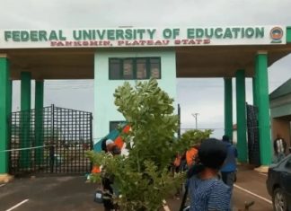 Court Jails Two for Certificate Forgery at Plateau Varsity
