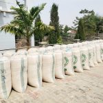 GAP Agro Limited Records Bountiful Harvest, Produces Over 400 Bags of Maize, Others in Mangu