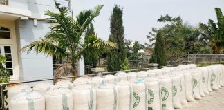 GAP Agro Limited Records Bountiful Harvest, Produces Over 400 Bags of Maize, Others in Mangu