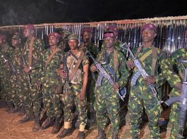 Plateau: 300 Troops Deployed to Combat Banditry in Bashar