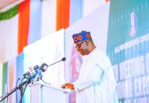 Prof. Nentawe Yilwatda Challenges Claims of Northern Opposition to Tinubu