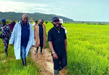P-YAEP, Kefiano Farms Trade Words Over Suspension of BARC Farms Operations