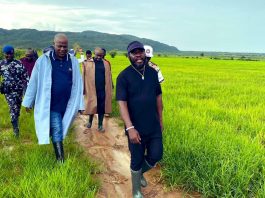 P-YAEP, Kefiano Farms Trade Words Over Suspension of BARC Farms Operations