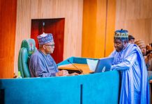Senate Clears Dengi College Bill, Navy Institute Advances